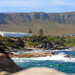 The Marine Hermanus